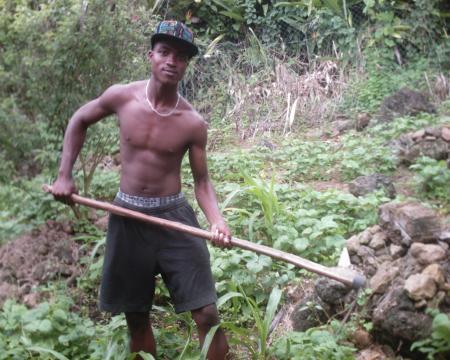 un bon travailleur